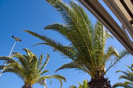 Santiago de la Ribera